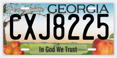 GA license plate CXJ8225
