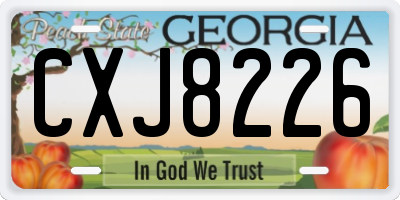 GA license plate CXJ8226