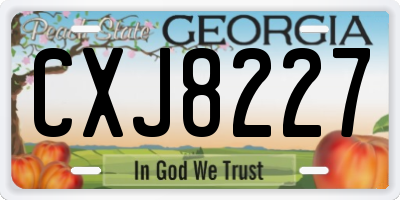 GA license plate CXJ8227
