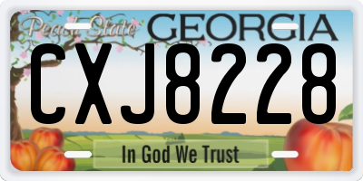 GA license plate CXJ8228
