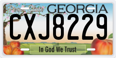 GA license plate CXJ8229