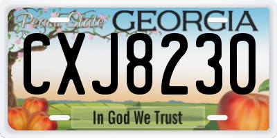 GA license plate CXJ8230