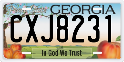 GA license plate CXJ8231