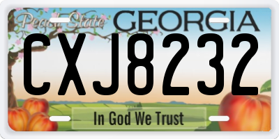 GA license plate CXJ8232