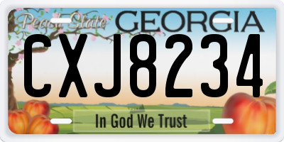 GA license plate CXJ8234