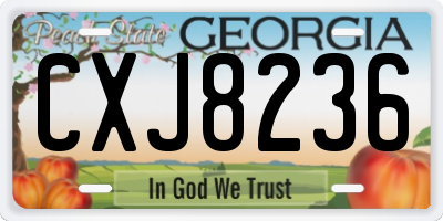 GA license plate CXJ8236