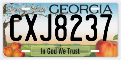 GA license plate CXJ8237