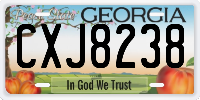 GA license plate CXJ8238