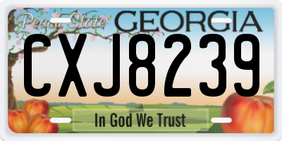 GA license plate CXJ8239