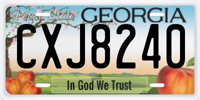 GA license plate CXJ8240