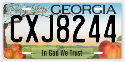 GA license plate CXJ8244