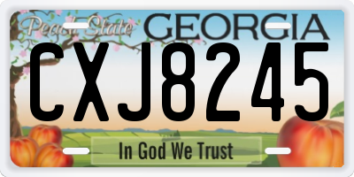GA license plate CXJ8245