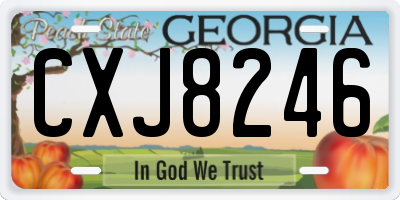GA license plate CXJ8246