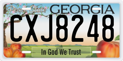 GA license plate CXJ8248