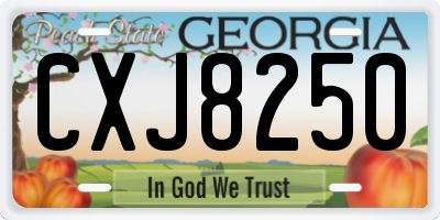 GA license plate CXJ8250