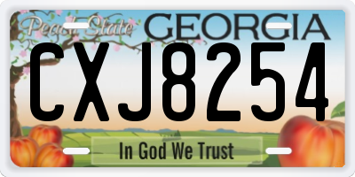 GA license plate CXJ8254