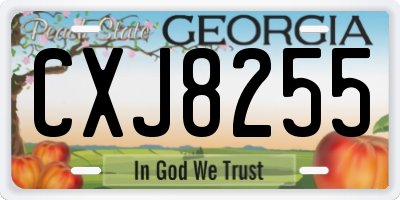 GA license plate CXJ8255
