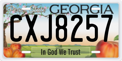 GA license plate CXJ8257