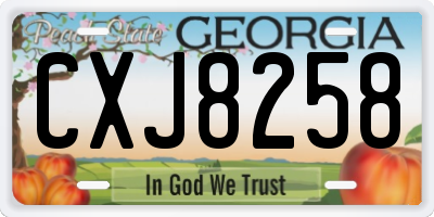GA license plate CXJ8258