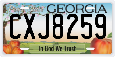 GA license plate CXJ8259