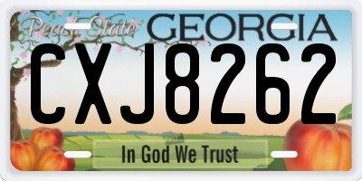 GA license plate CXJ8262