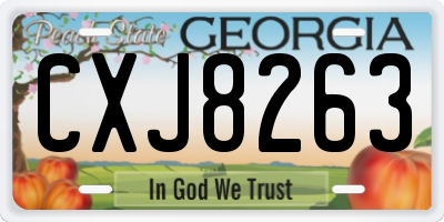 GA license plate CXJ8263