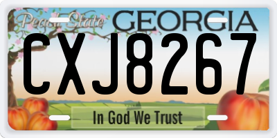 GA license plate CXJ8267
