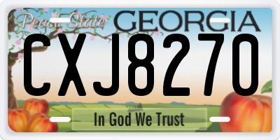 GA license plate CXJ8270