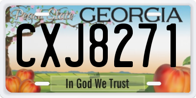 GA license plate CXJ8271