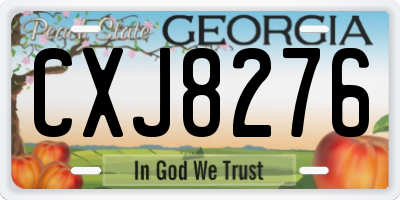 GA license plate CXJ8276