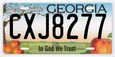 GA license plate CXJ8277