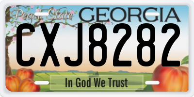 GA license plate CXJ8282