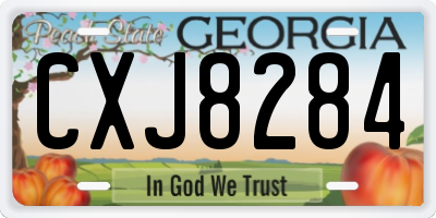 GA license plate CXJ8284