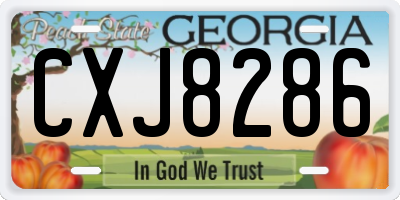 GA license plate CXJ8286