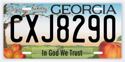 GA license plate CXJ8290