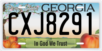 GA license plate CXJ8291