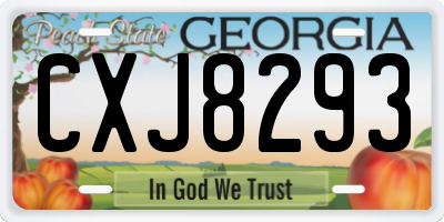 GA license plate CXJ8293