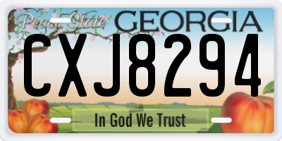 GA license plate CXJ8294