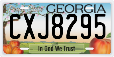 GA license plate CXJ8295