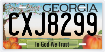 GA license plate CXJ8299