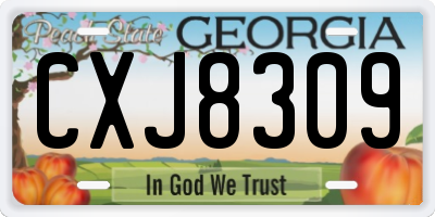 GA license plate CXJ8309