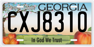 GA license plate CXJ8310
