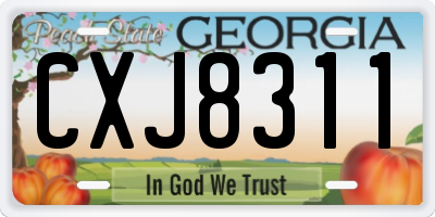 GA license plate CXJ8311