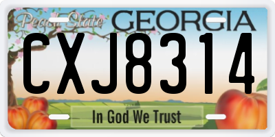 GA license plate CXJ8314