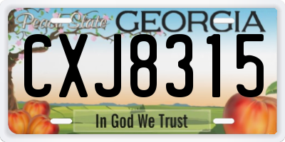 GA license plate CXJ8315