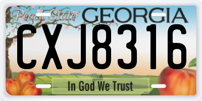 GA license plate CXJ8316