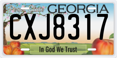 GA license plate CXJ8317