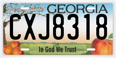 GA license plate CXJ8318