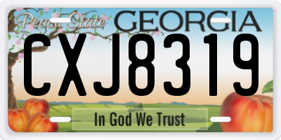 GA license plate CXJ8319