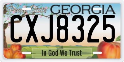 GA license plate CXJ8325